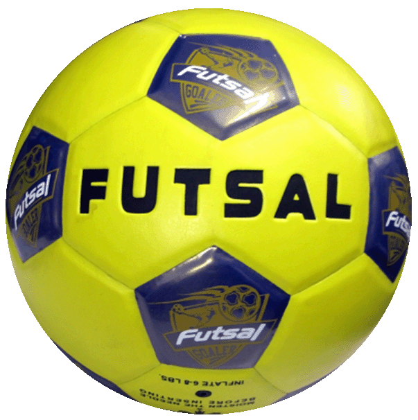 asic futsal